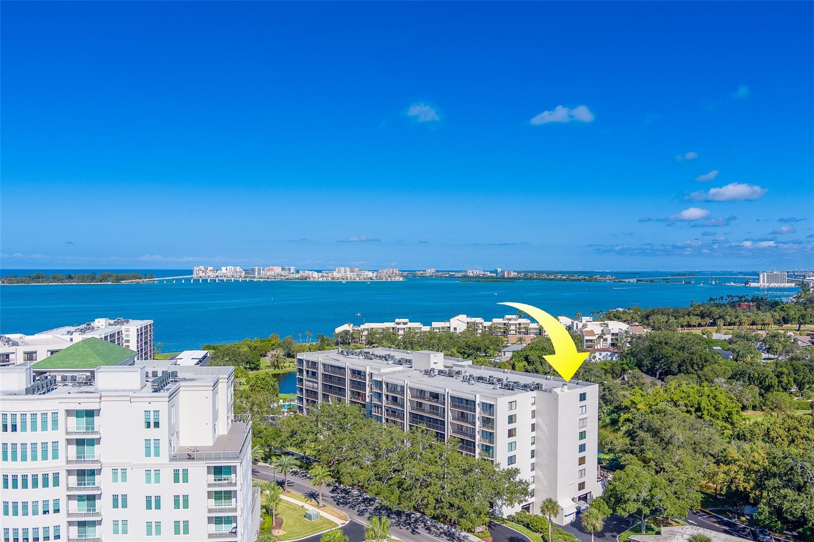 Image 55 of 65 For 220 Belleview Boulevard 504