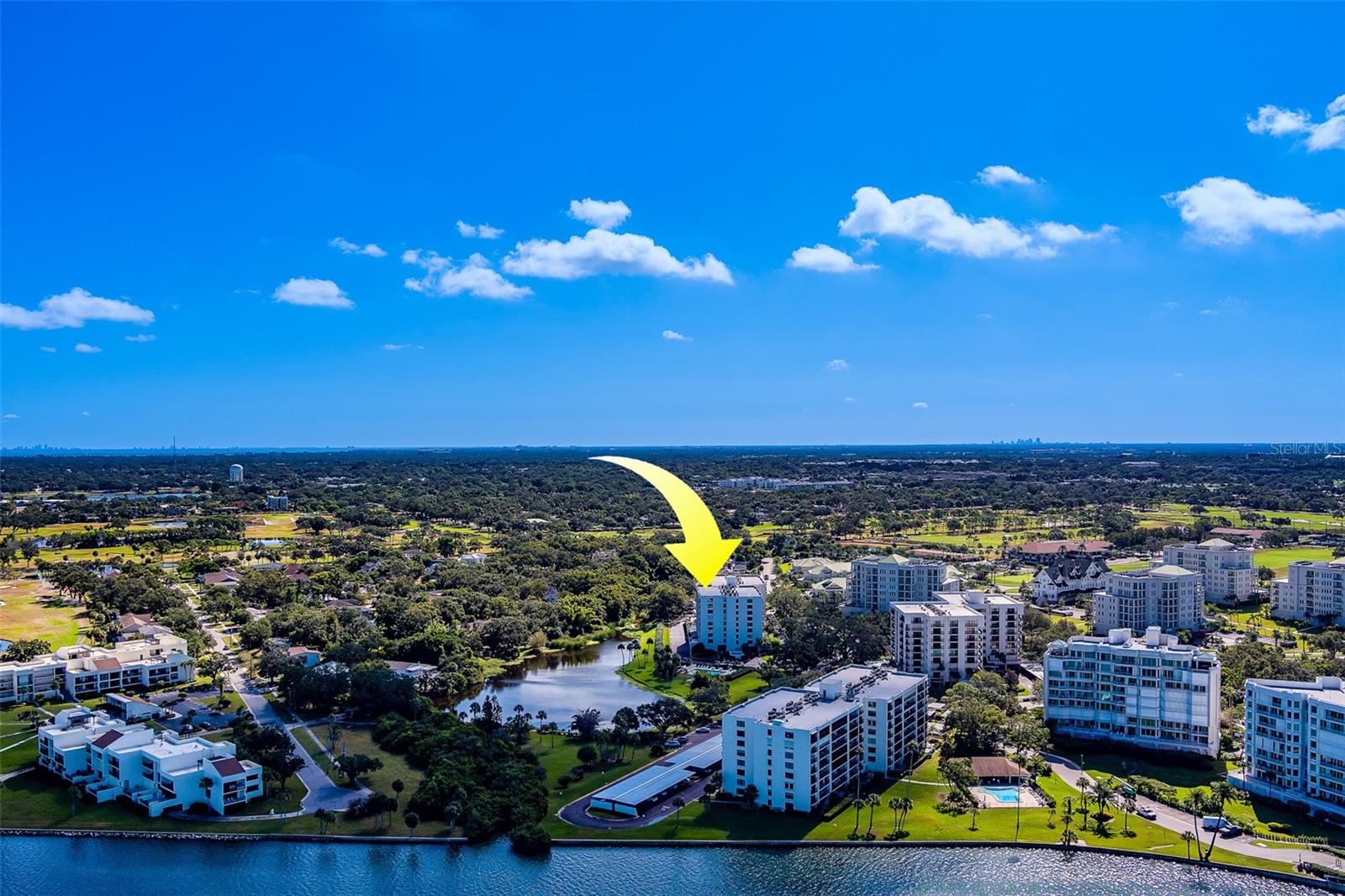 Image 59 of 65 For 220 Belleview Boulevard 504