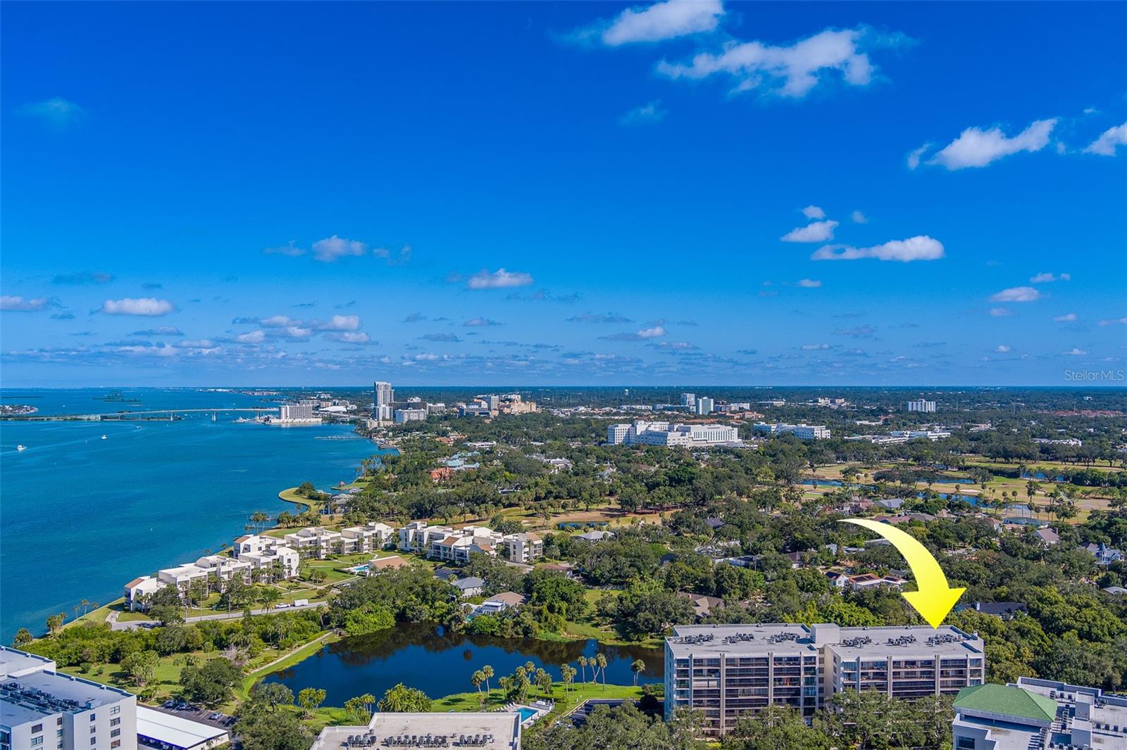 Image 60 of 65 For 220 Belleview Boulevard 504