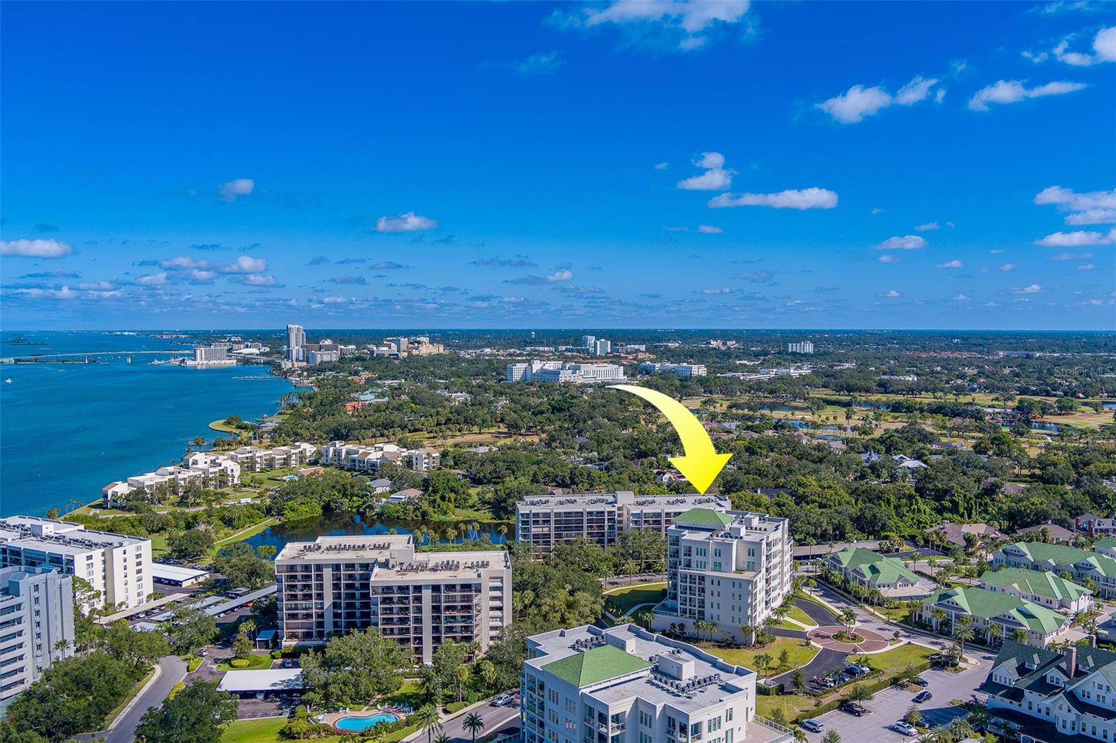 Image 61 of 65 For 220 Belleview Boulevard 504