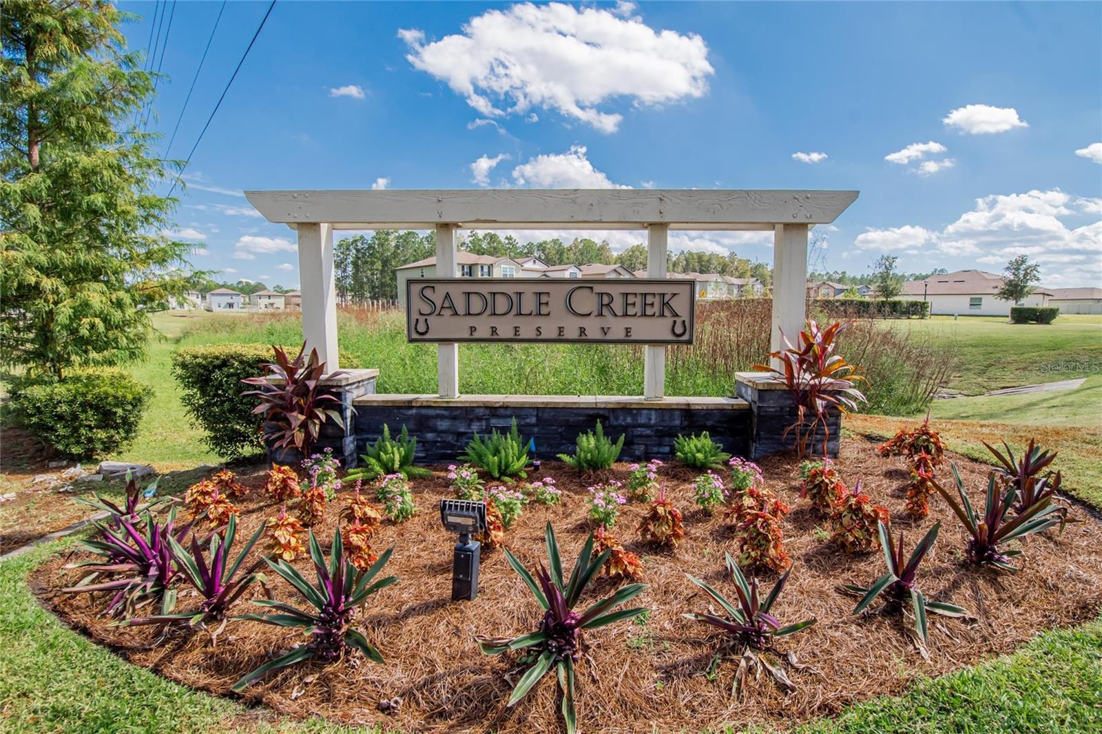 Image 2 of 66 For 1748 Red Loop