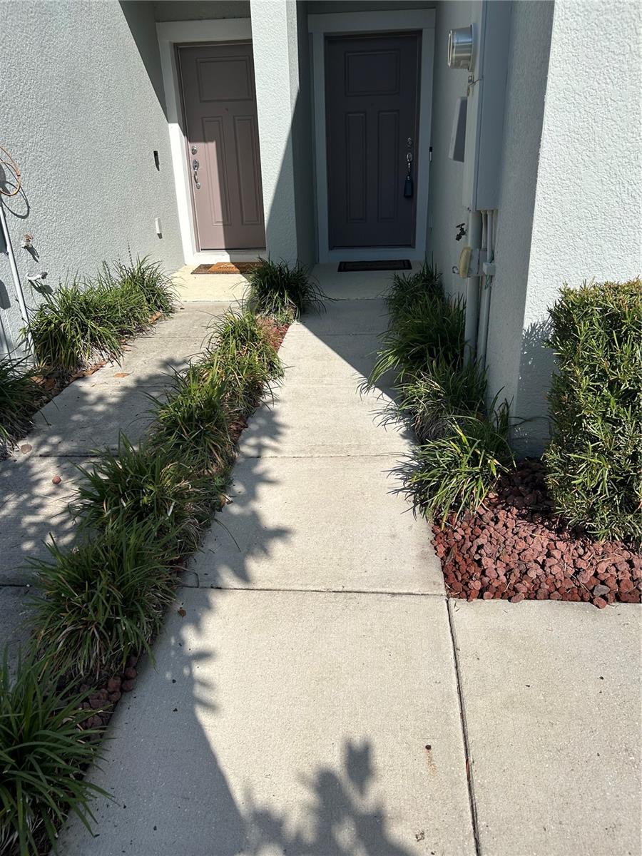 Image 43 of 43 For 5333 Sylvester Loop