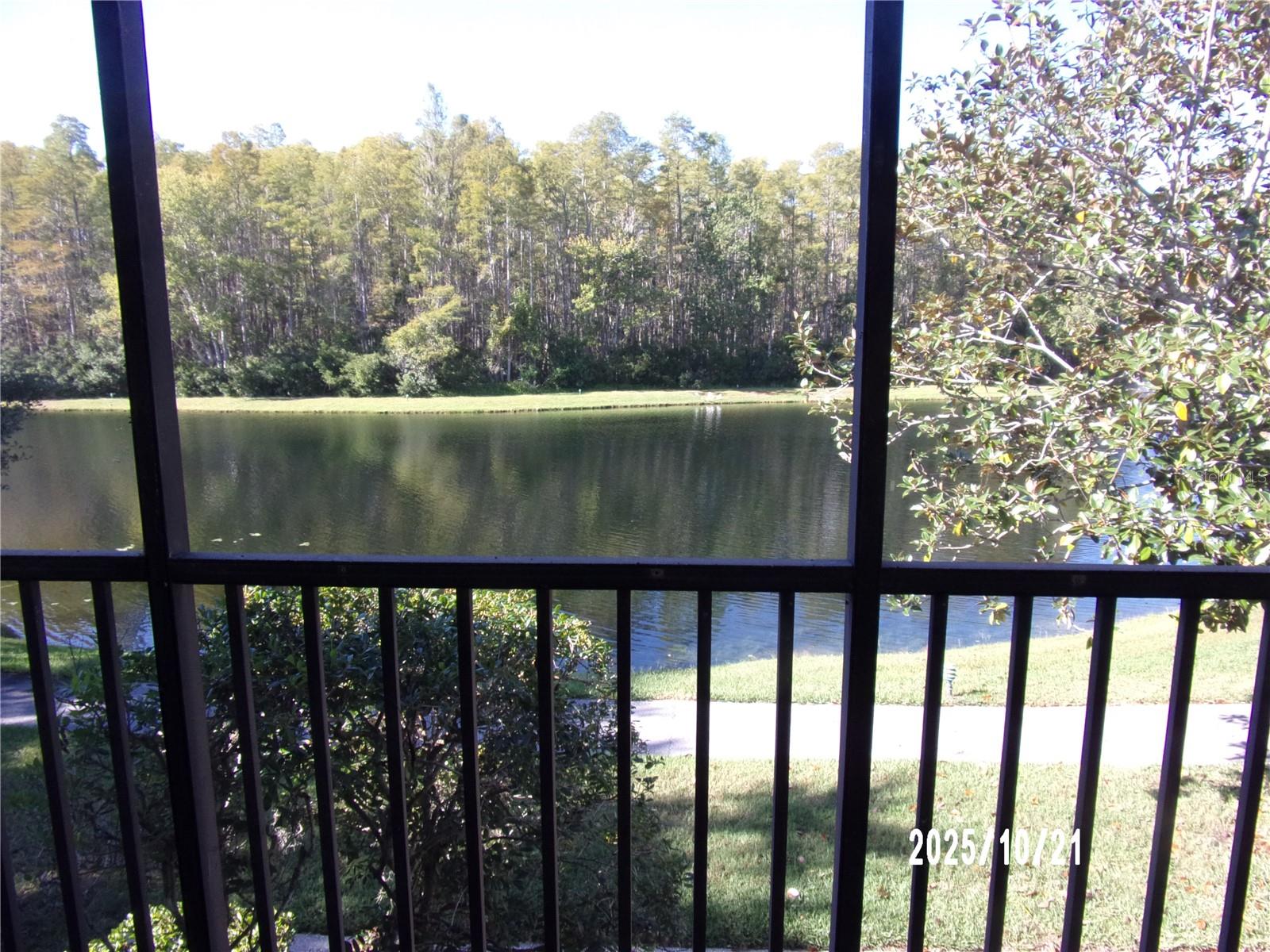Image 8 of 19 For 1345 Pine Ridge Circle E C2