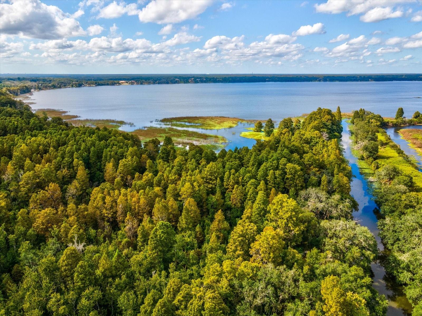 Image 34 of 35 For 10703 Williams Road