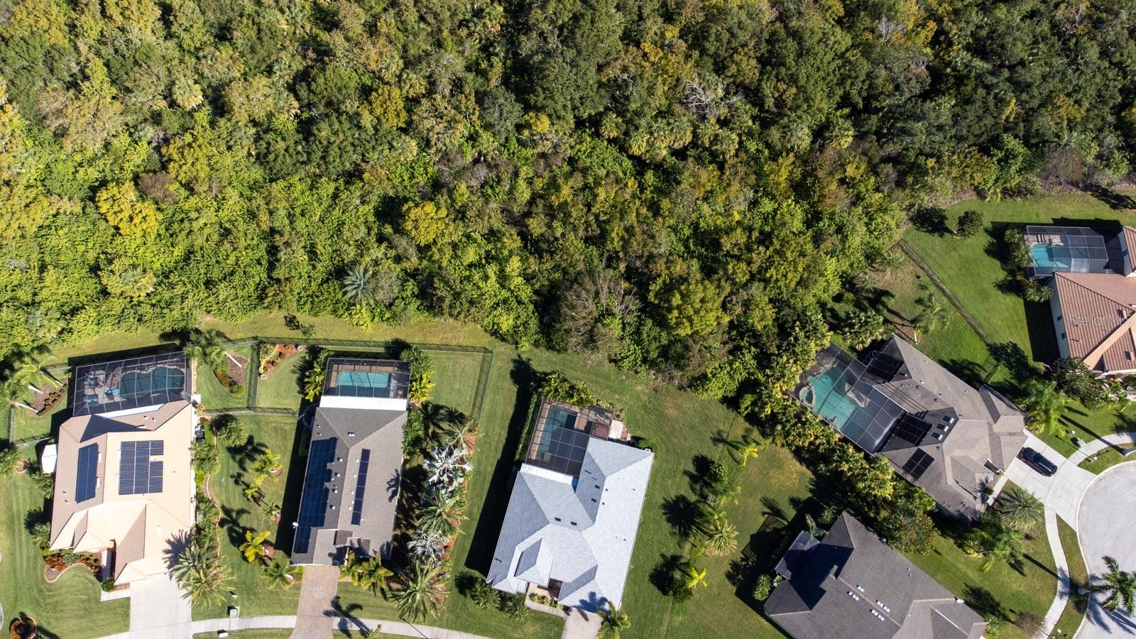 Image 47 of 60 For 316 Royal Bonnet Drive