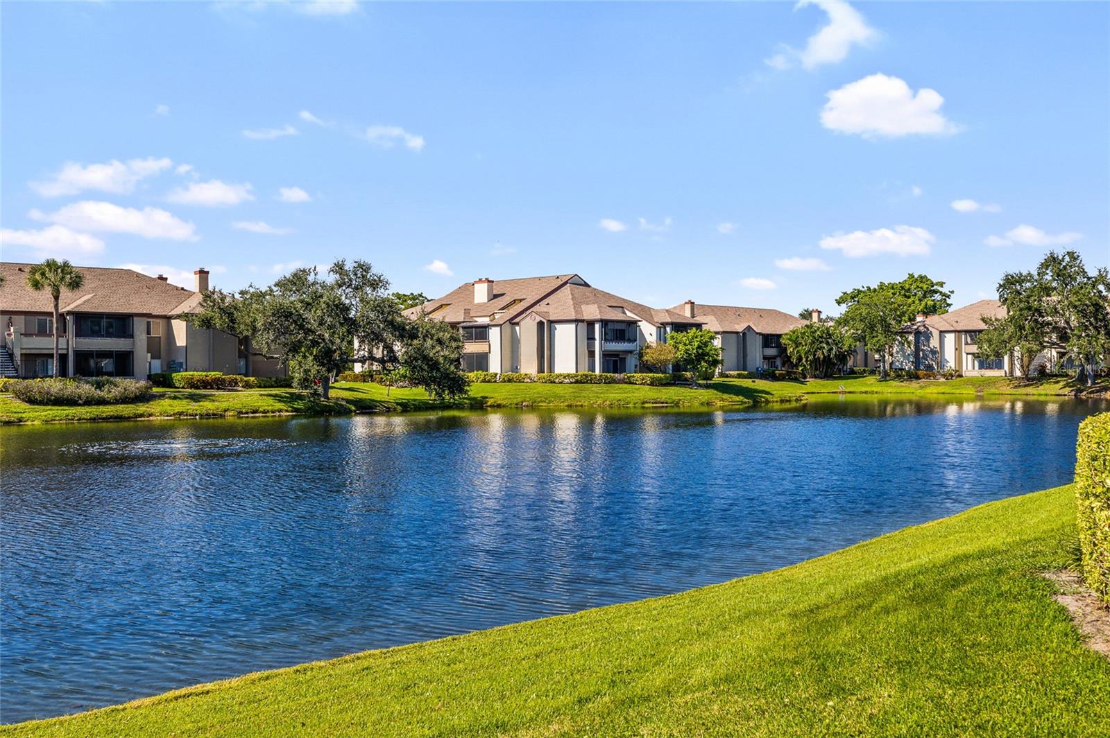 Image 26 of 31 For 10263 Gandy Boulevard N 213