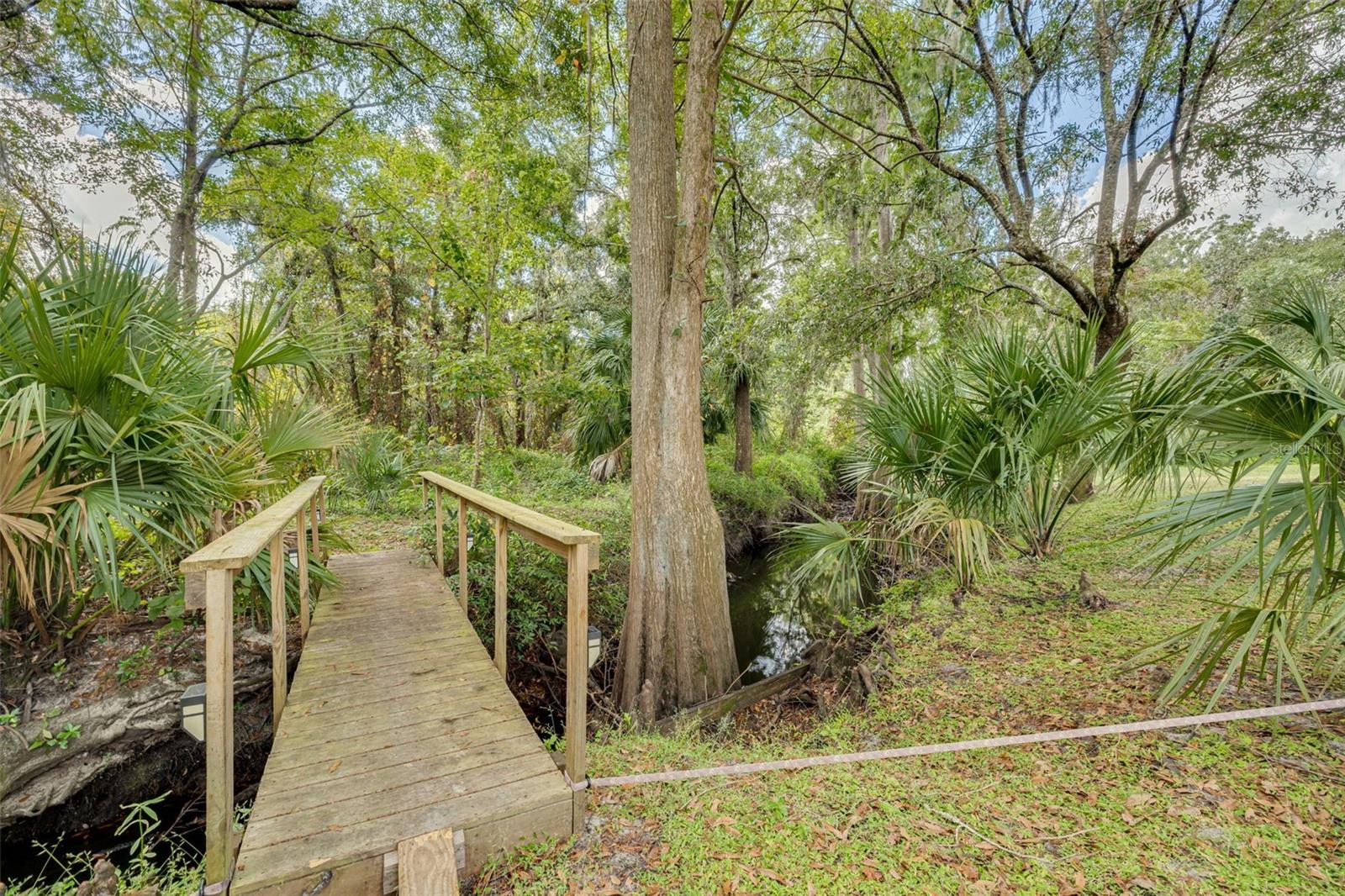 Image 45 of 70 For 1868 Overview Drive