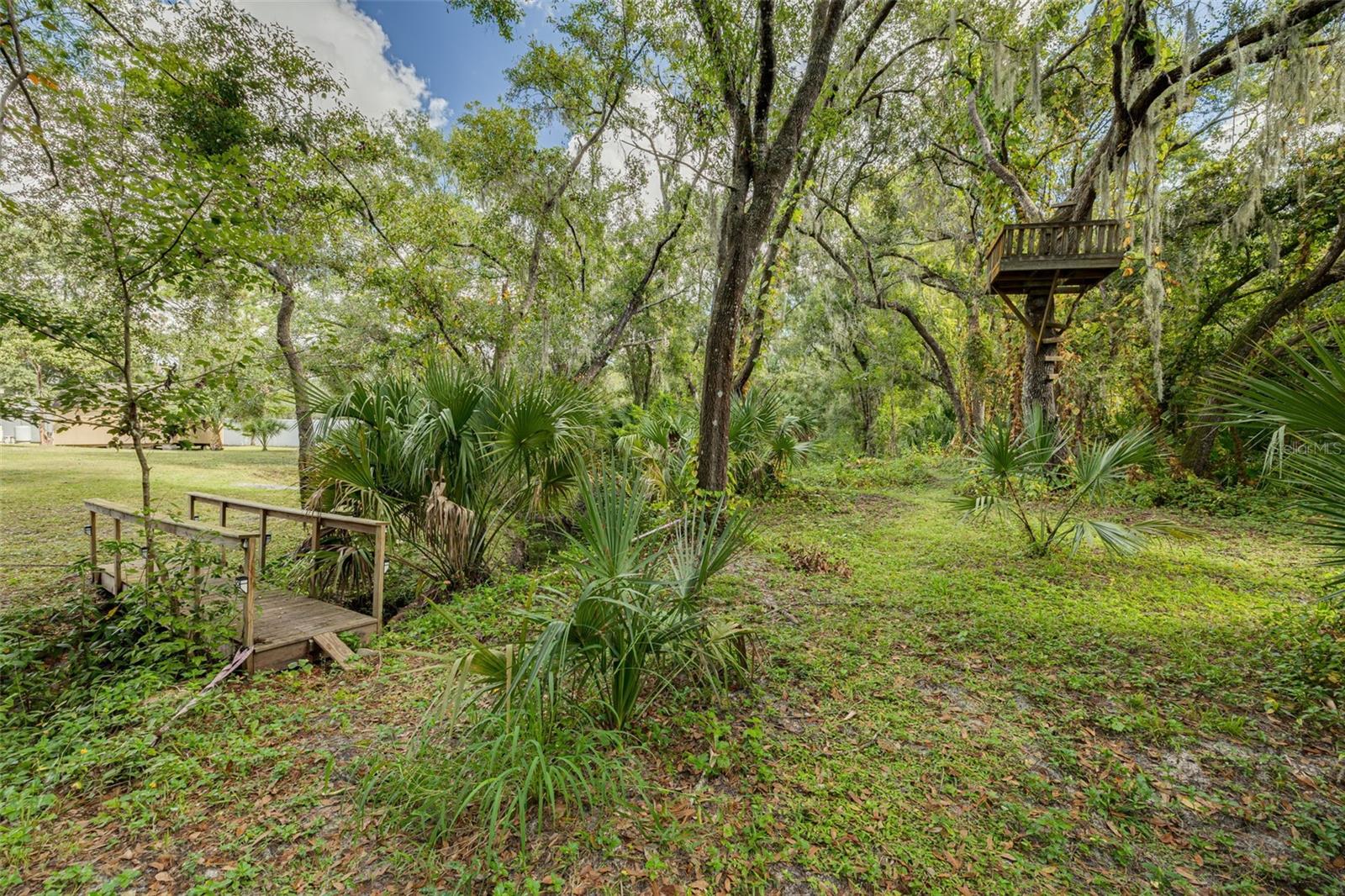 Image 47 of 70 For 1868 Overview Drive