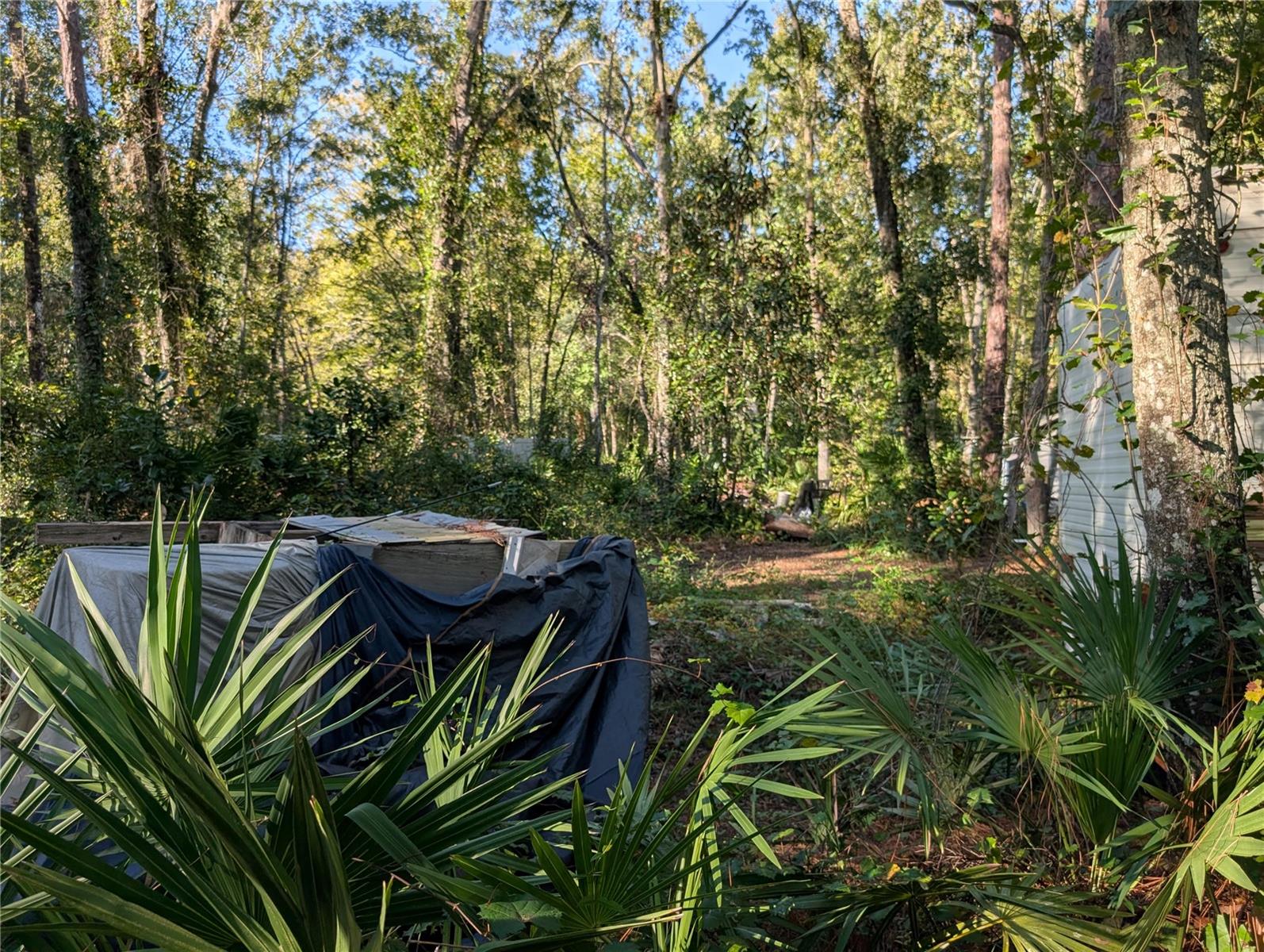 Image 10 of 12 For 11335 Tulane Street