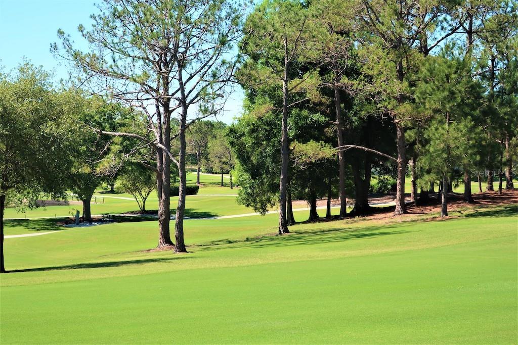 Image 70 of 96 For 2880 Doone Circle