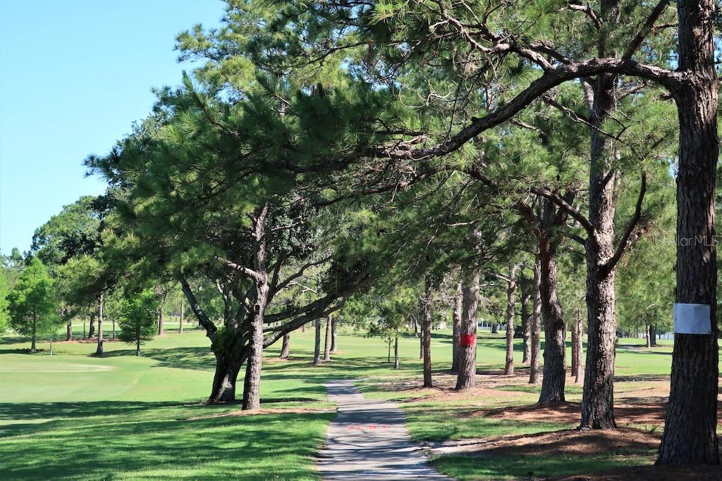 Image 73 of 96 For 2880 Doone Circle