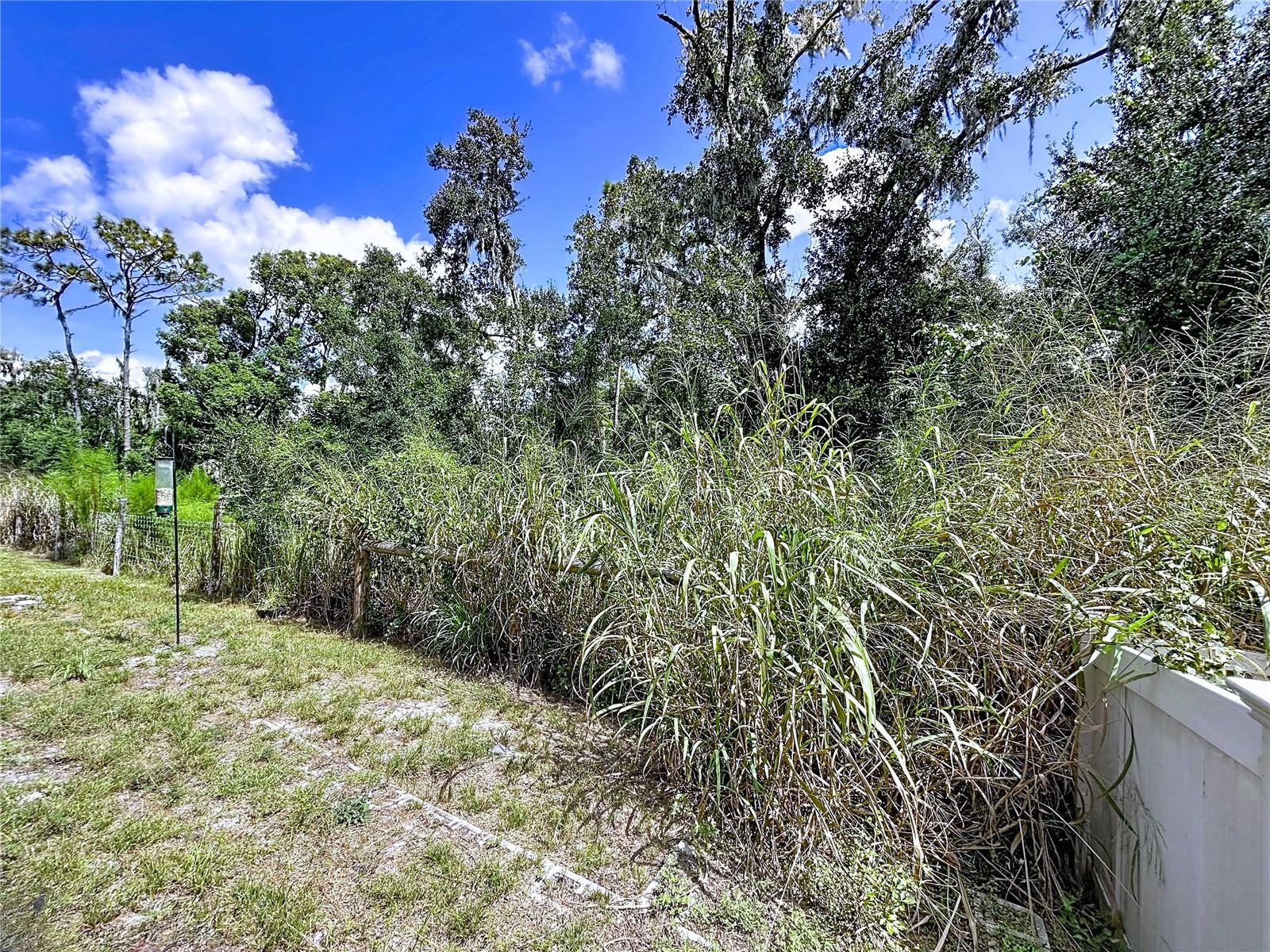 Image 60 of 68 For 14256 Blue Dasher Drive
