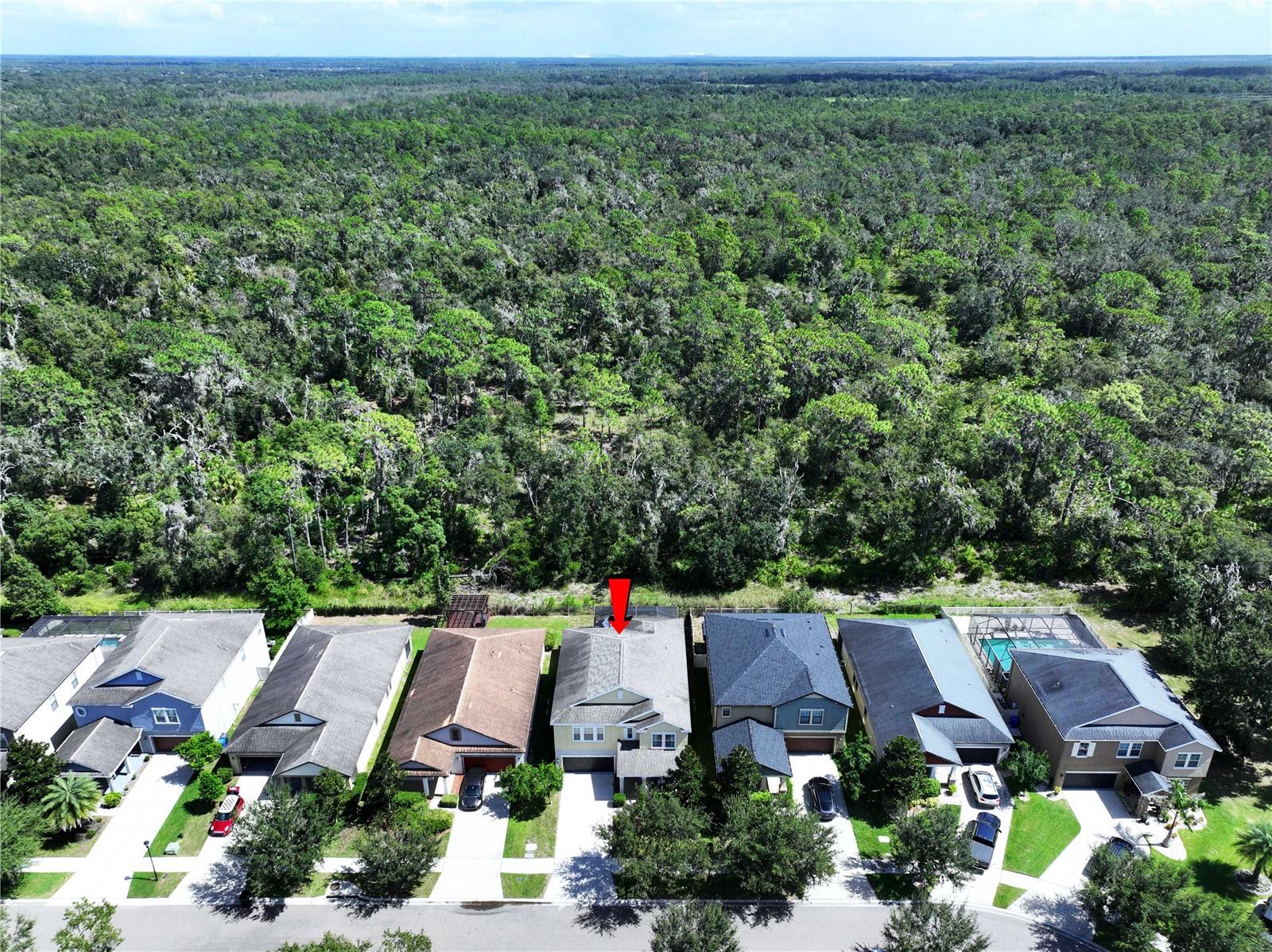 Image 66 of 68 For 14256 Blue Dasher Drive