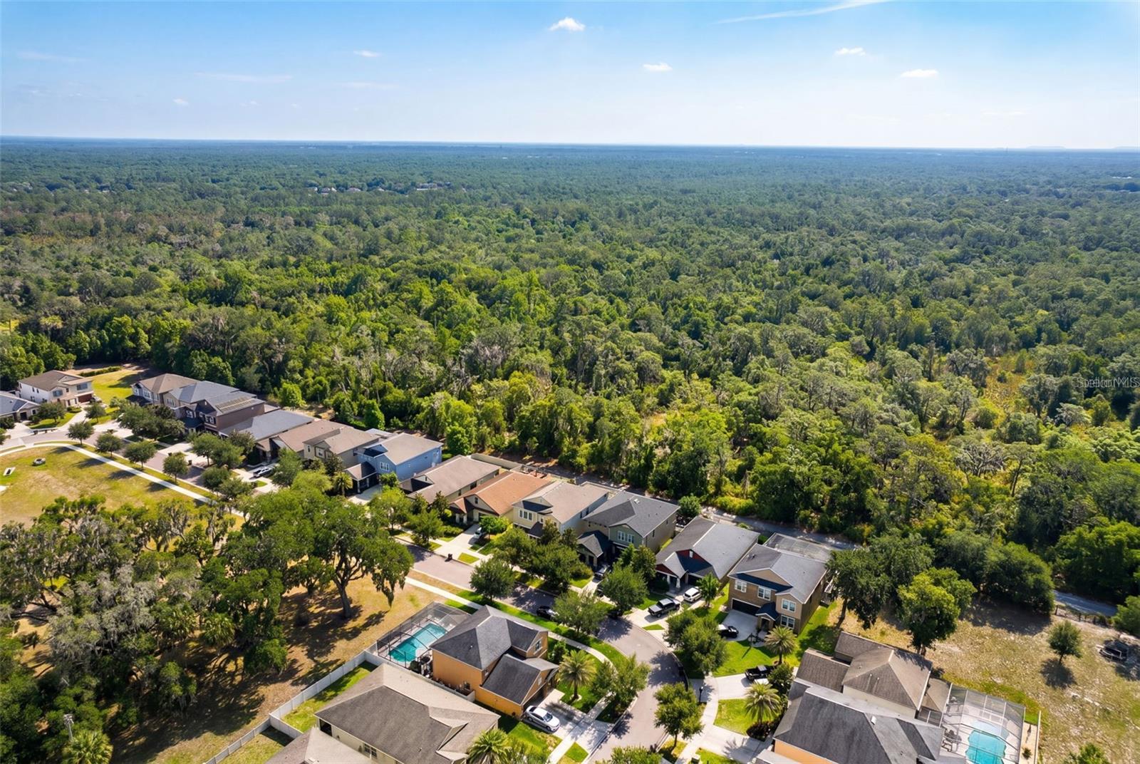 Image 89 of 98 For 14256 Blue Dasher Drive