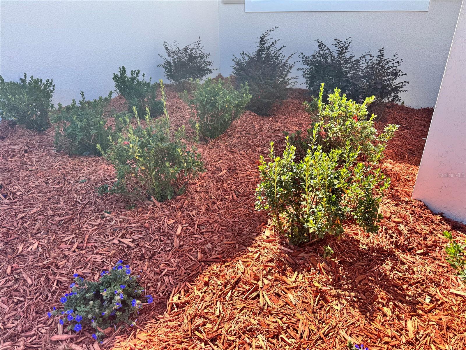 Image 12 of 71 For 13733 10th Street