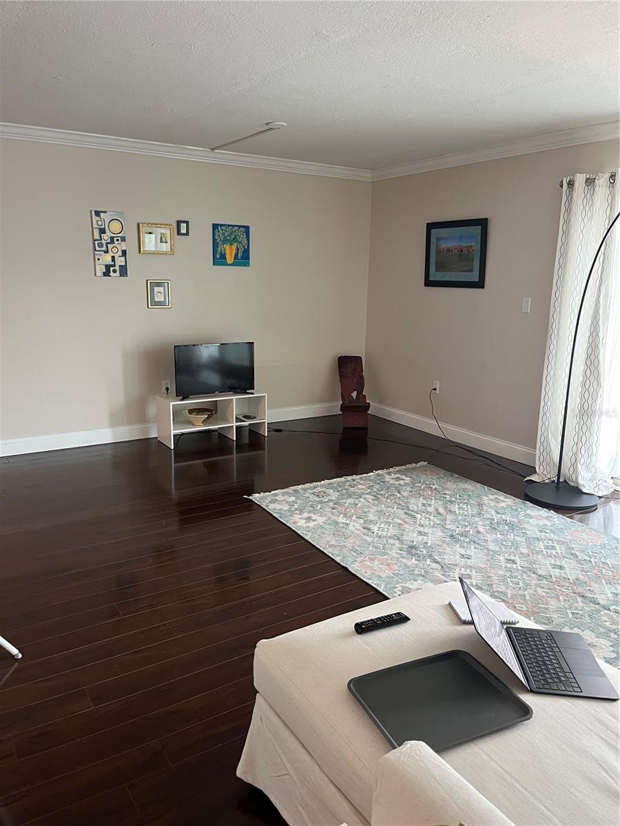 Image 5 of 30 For 2401 Bayshore Boulevard 302