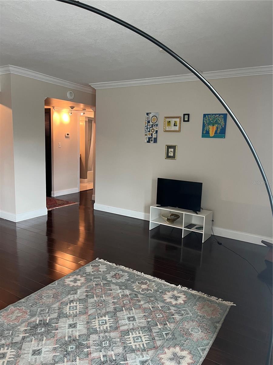 Image 6 of 30 For 2401 Bayshore Boulevard 302