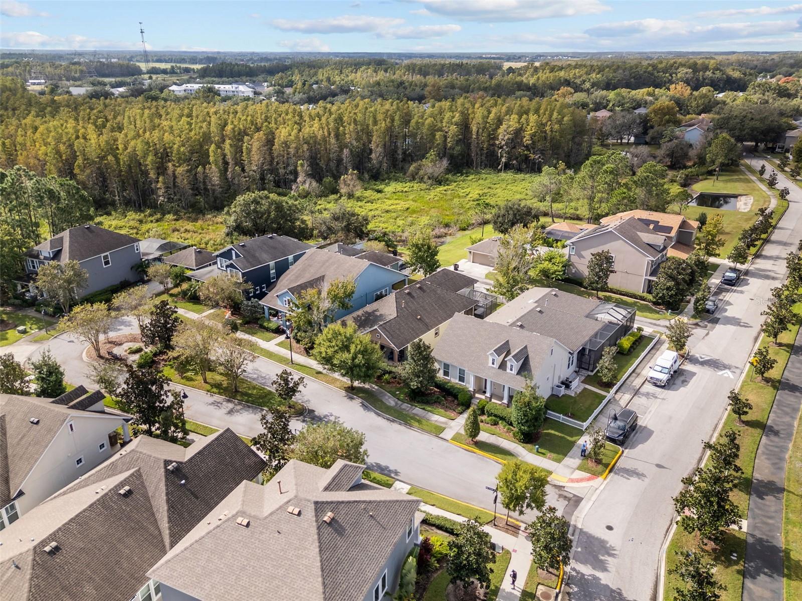 Image 31 of 46 For 3351 Coontie Court