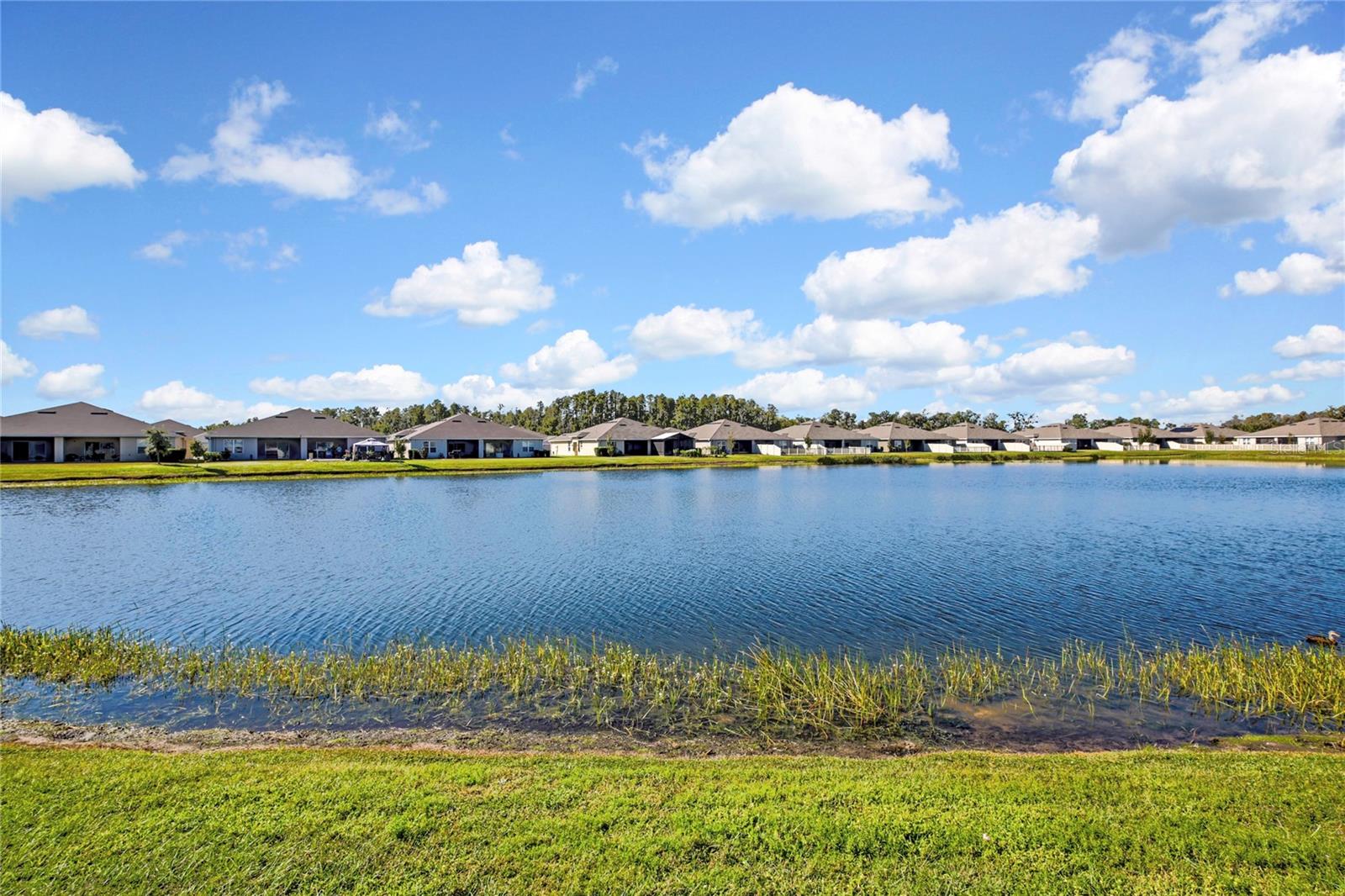 Image 36 of 53 For 18184 Turning Leaf Circle