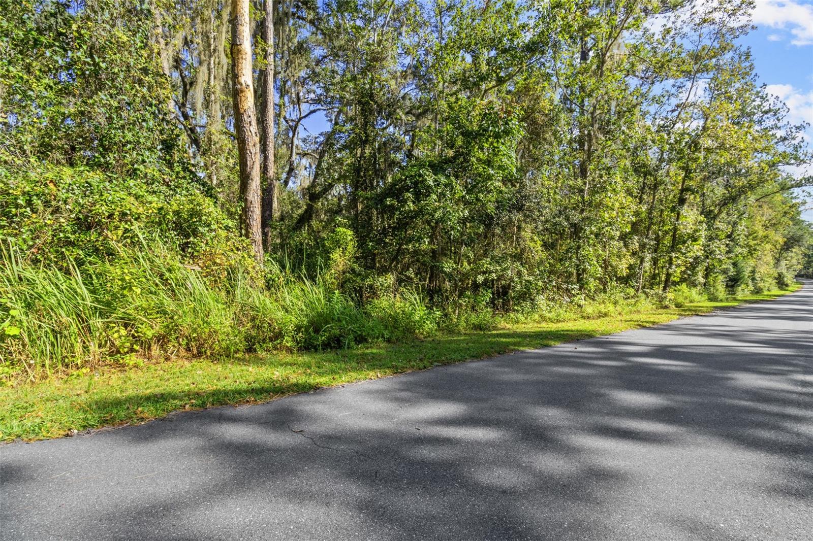 Listing photo id 2 for Skyview Circle