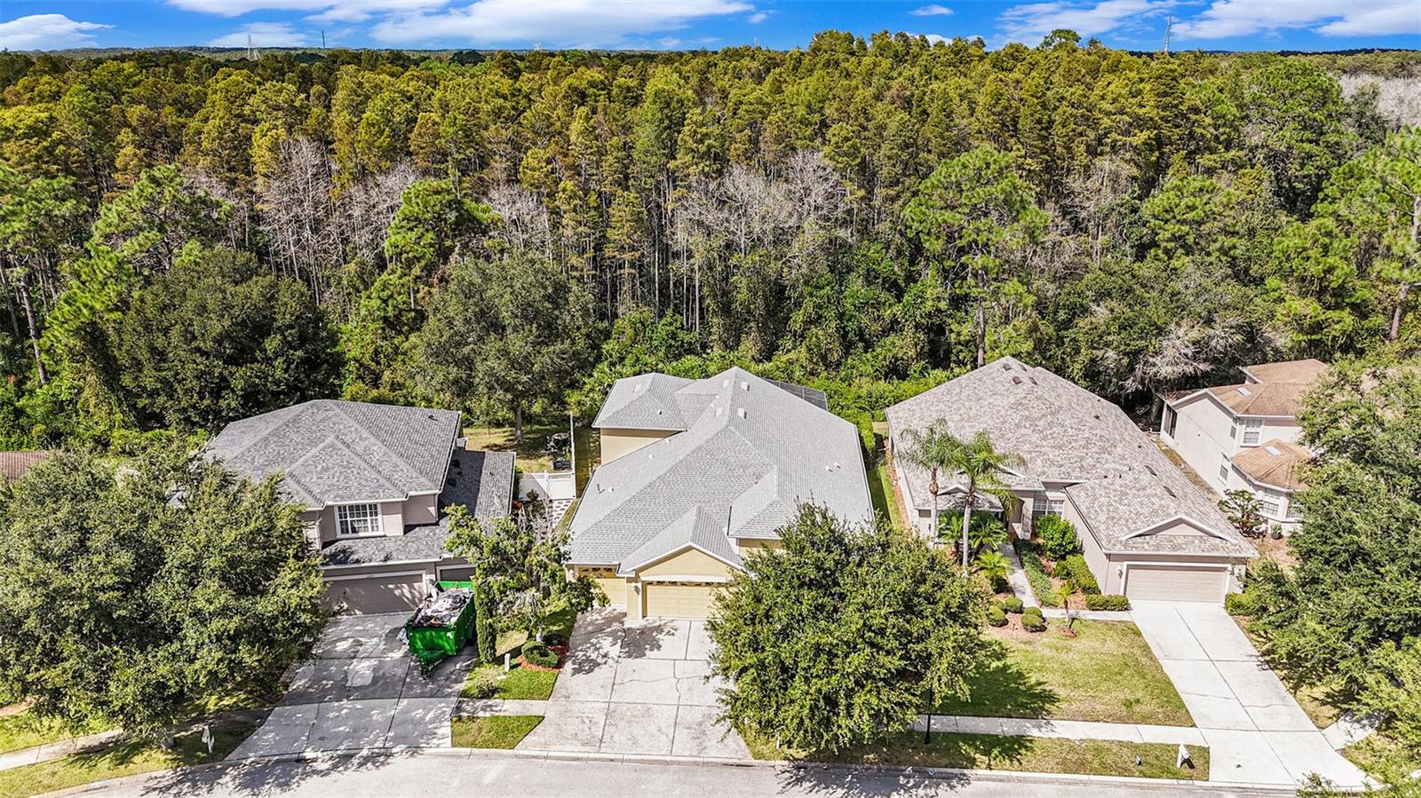 Image 29 of 31 For 10711 Pearl Berry Loop