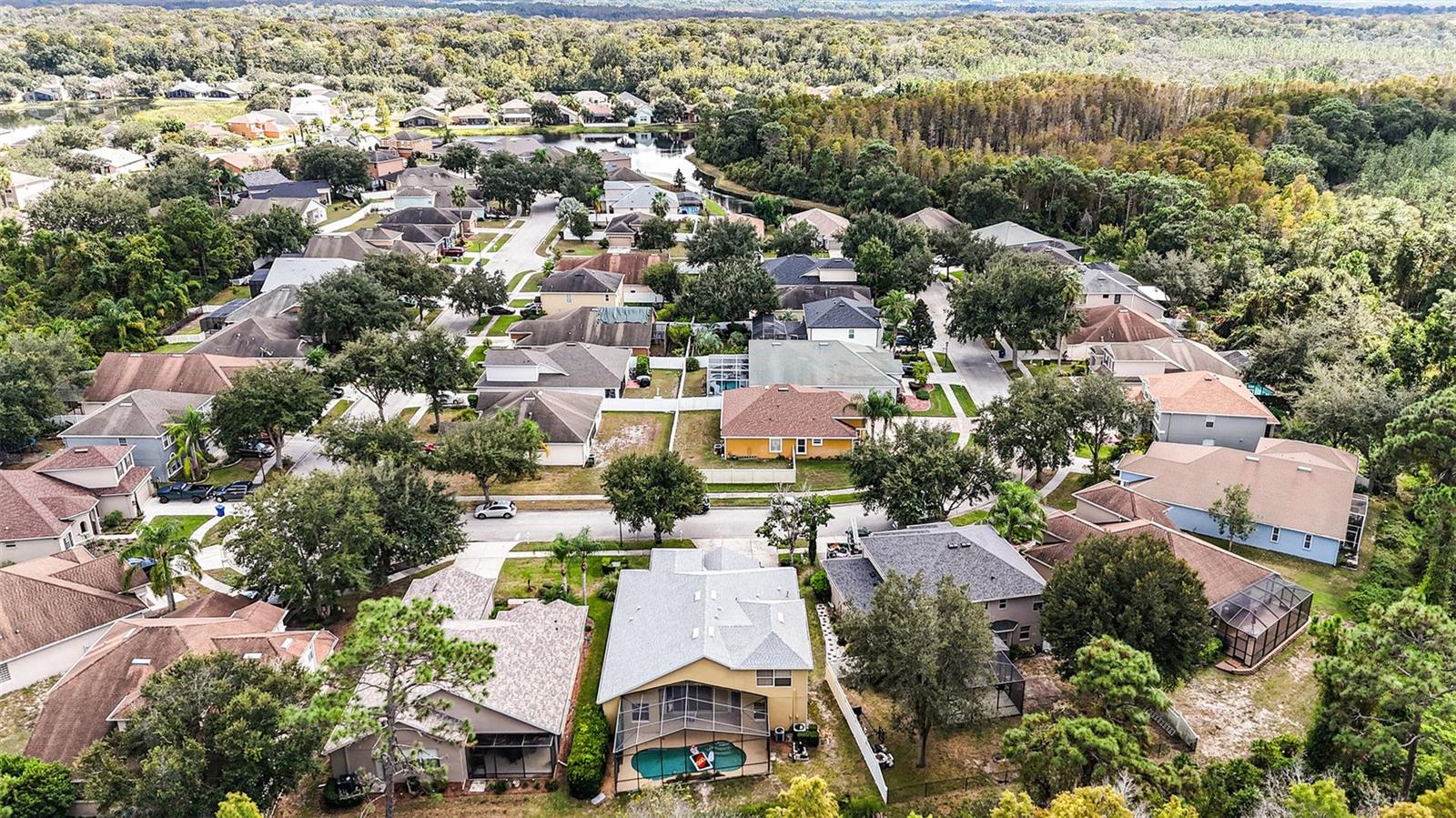 Image 30 of 31 For 10711 Pearl Berry Loop