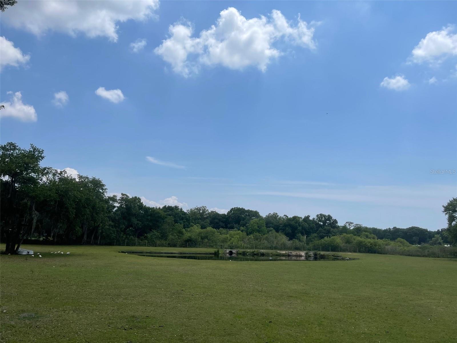 Image 36 of 49 For 6003 16th Avenue S