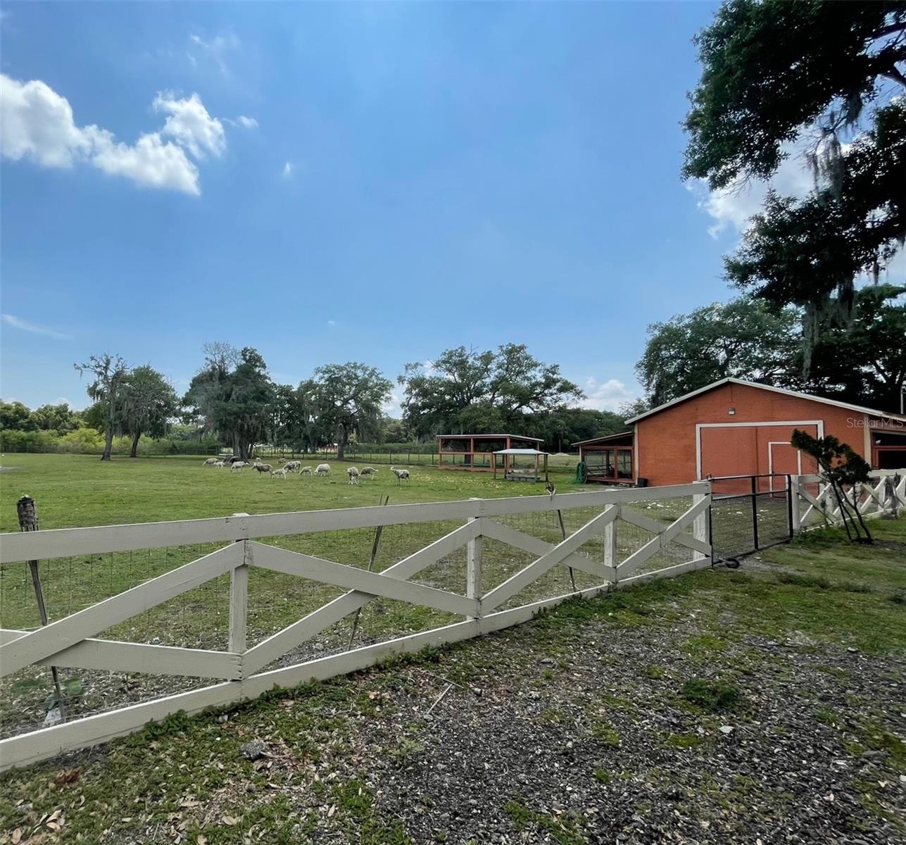 Image 37 of 49 For 6003 16th Avenue S