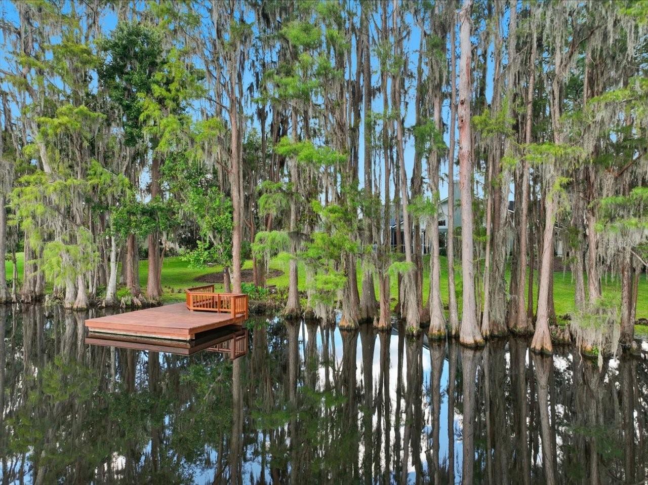 Image 53 of 61 For 302 Lake Kell Court