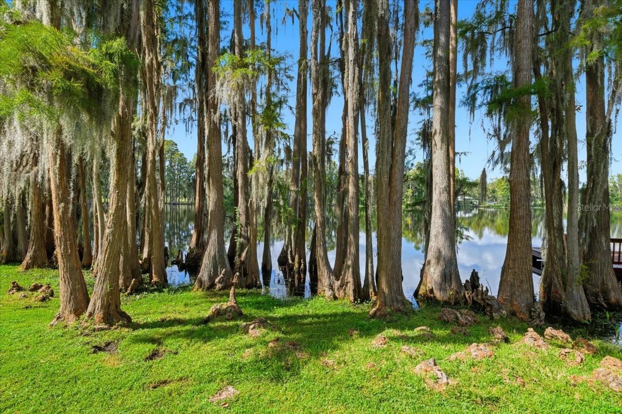 Image 58 of 61 For 302 Lake Kell Court