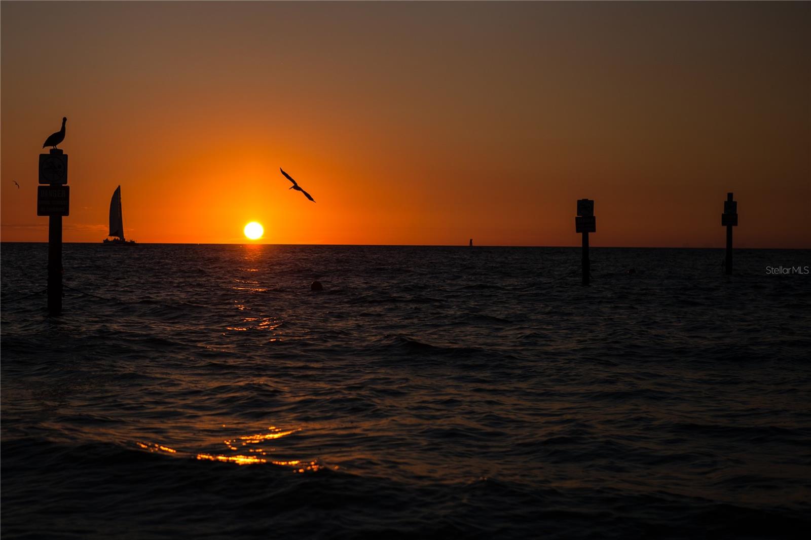 Image 58 of 62 For 1216 Missouri Avenue 220