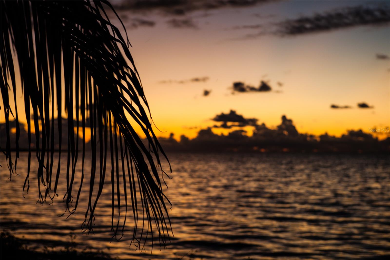 Image 60 of 62 For 1216 Missouri Avenue 220