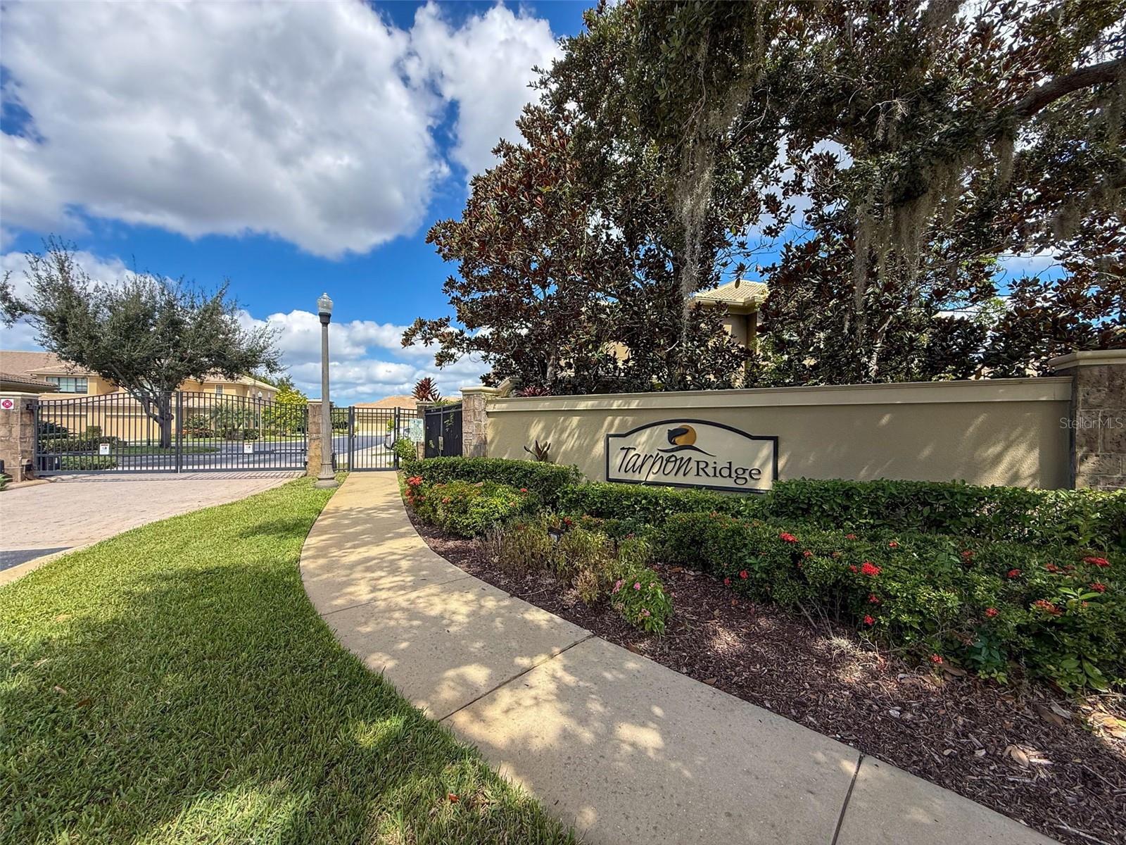 Image 43 of 46 For 2539 Silverback Court