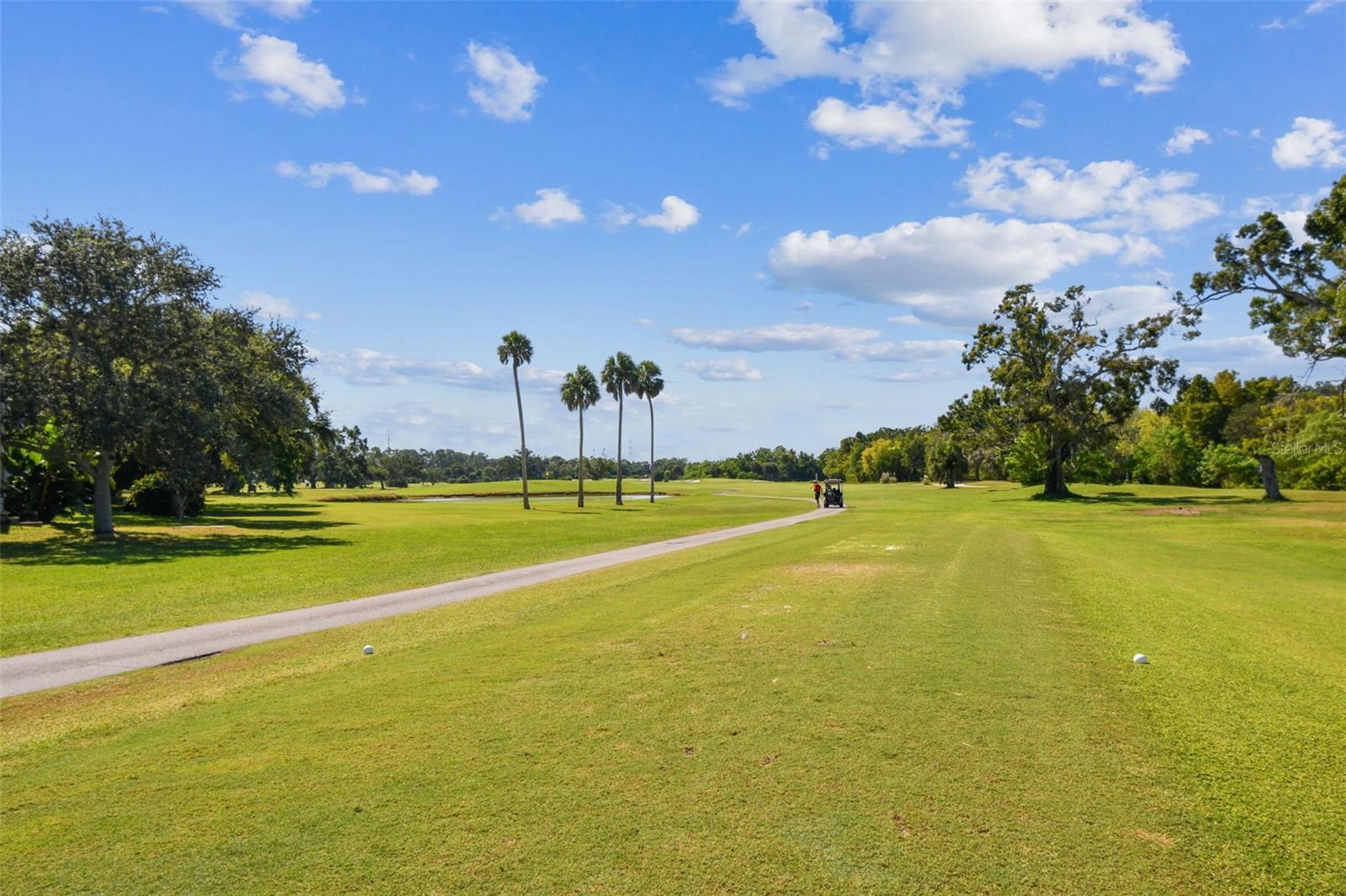 Image 82 of 90 For 1200 Country Club Drive 2405
