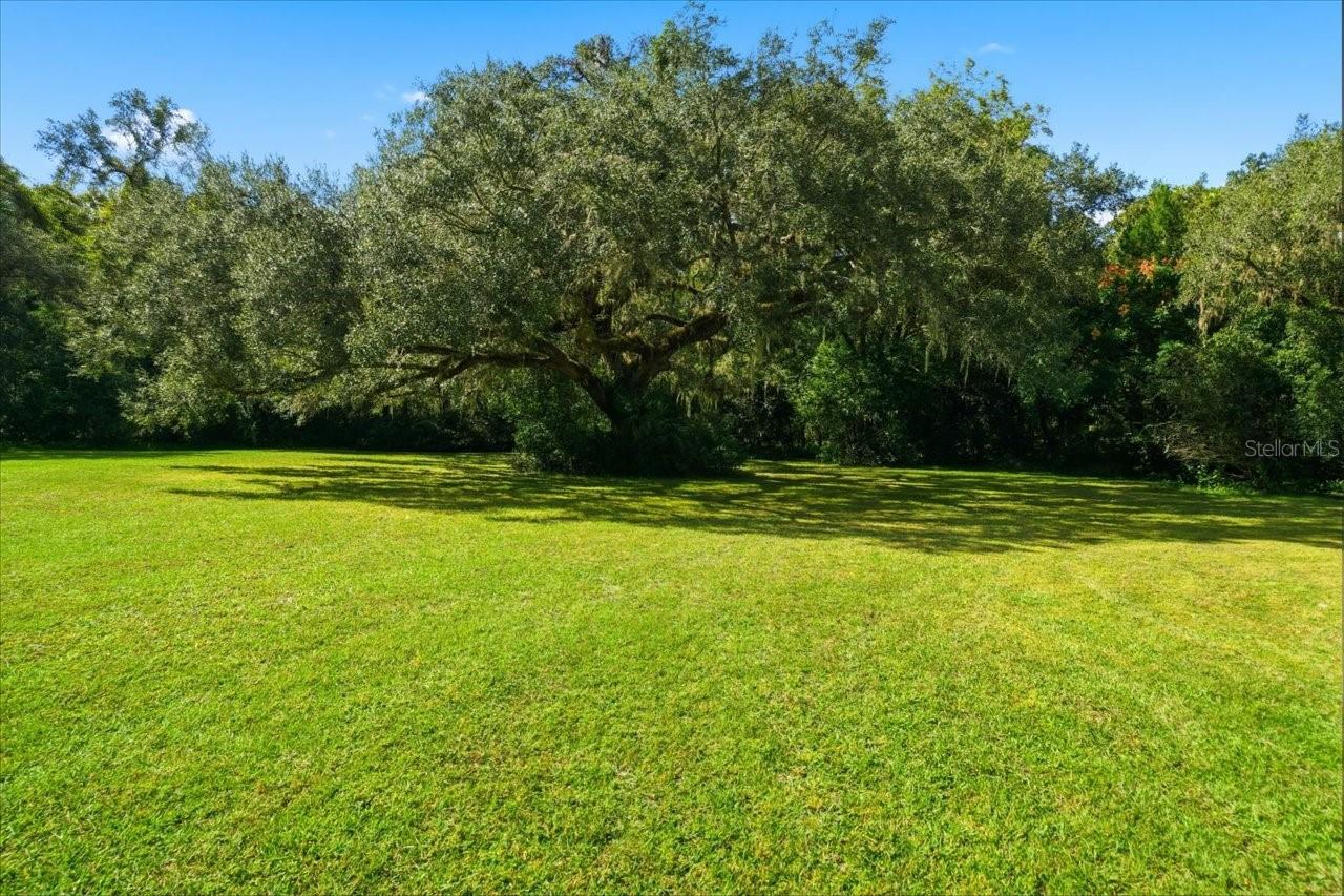 Listing photo id 27 for 22063 Lake Lindsey Road