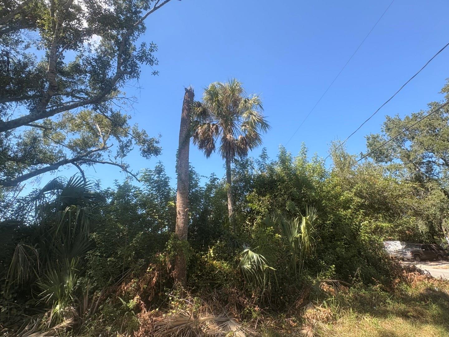 Image 4 of 7 For 2601 Goldwyn Drive