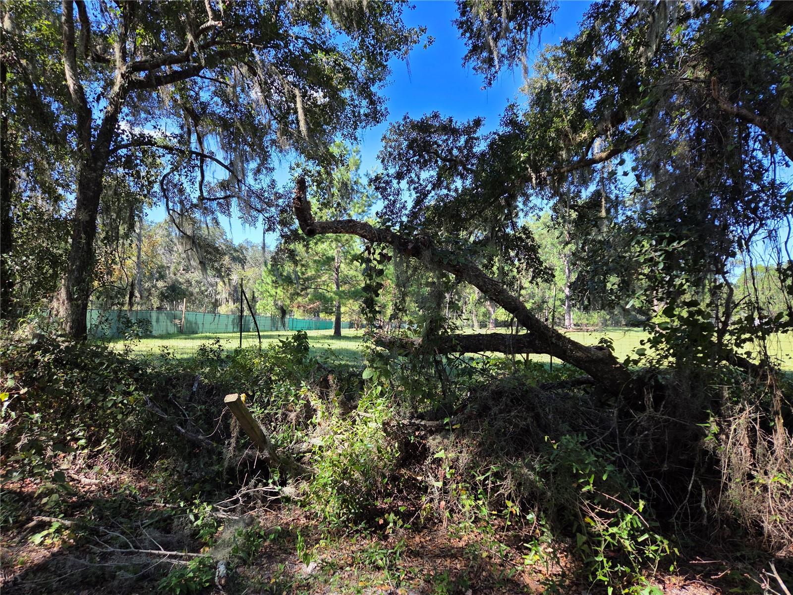 Image 6 of 8 For 3199 168th Street