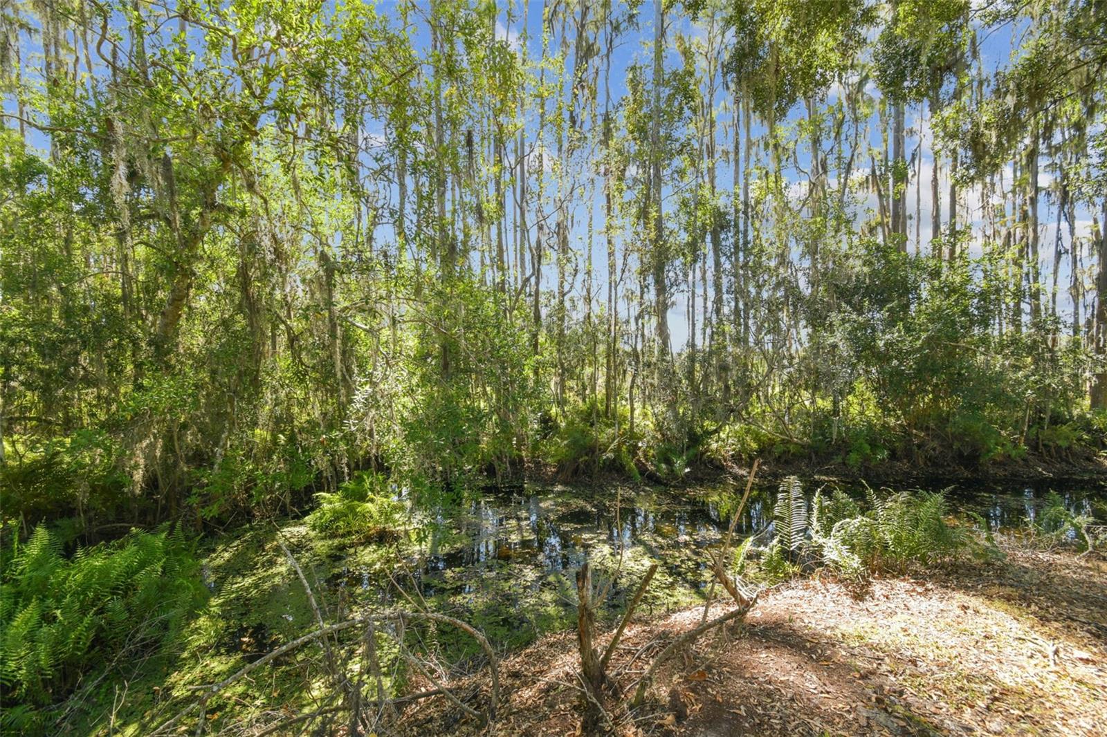 Image 44 of 85 For 1627 Hammocks Avenue