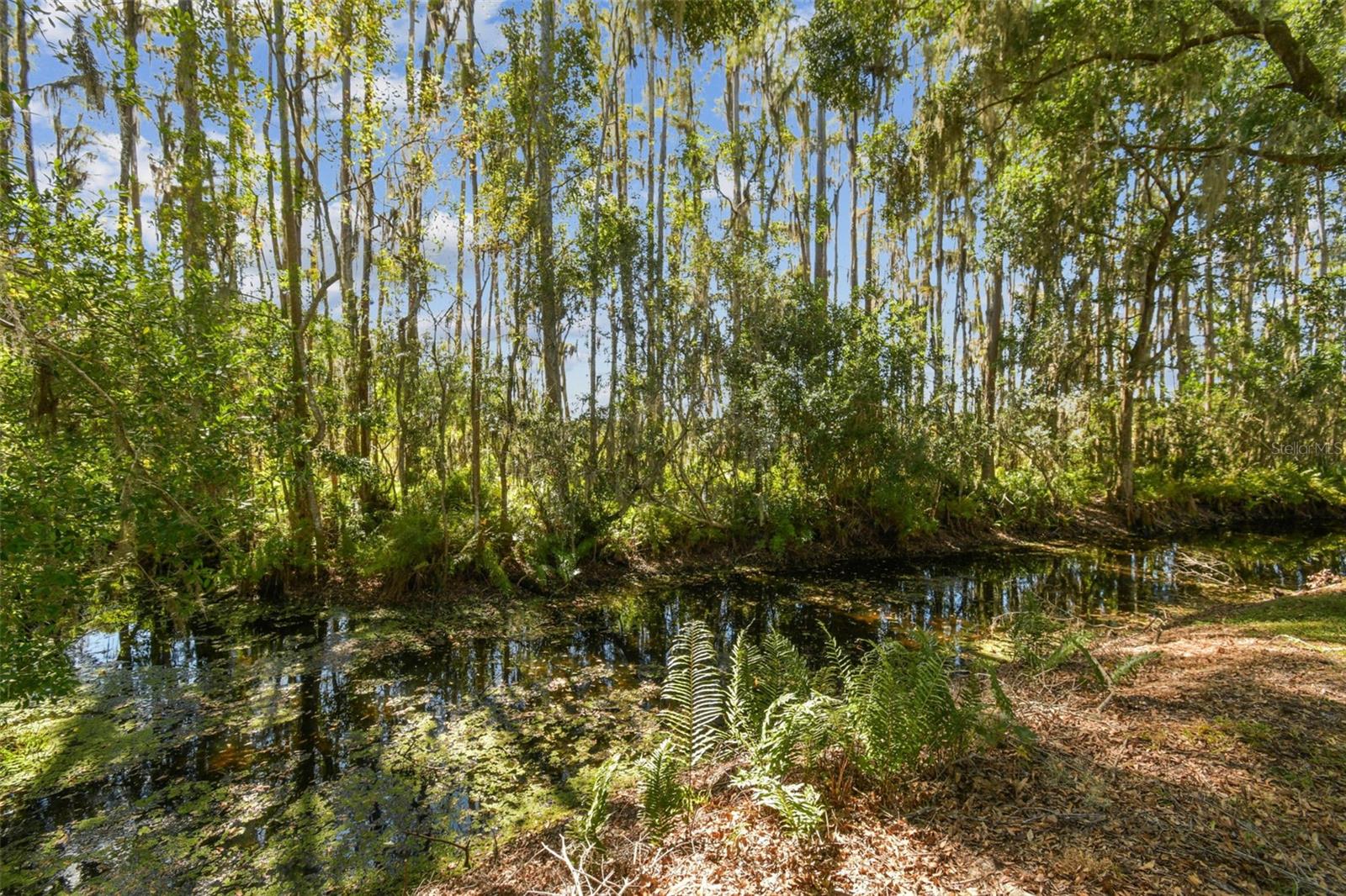 Image 45 of 85 For 1627 Hammocks Avenue