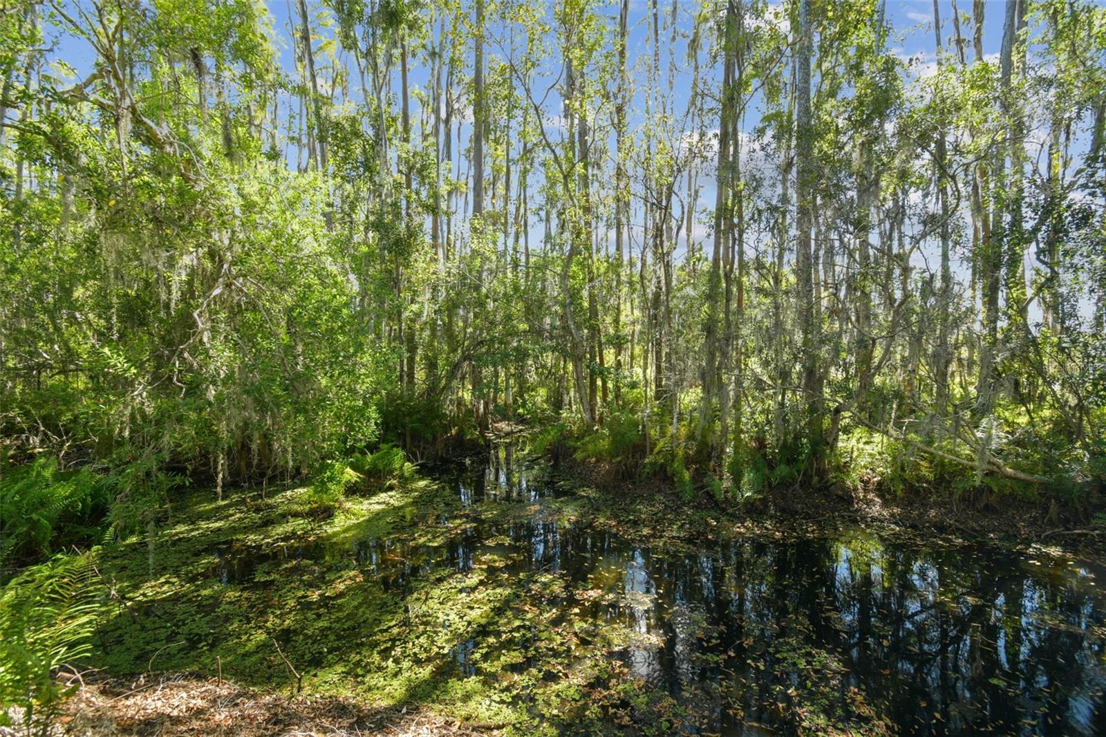 Image 46 of 85 For 1627 Hammocks Avenue