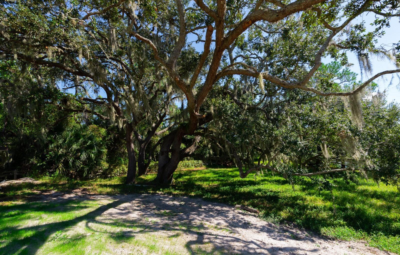 Listing photo id 34 for 9640 Hilltop Drive