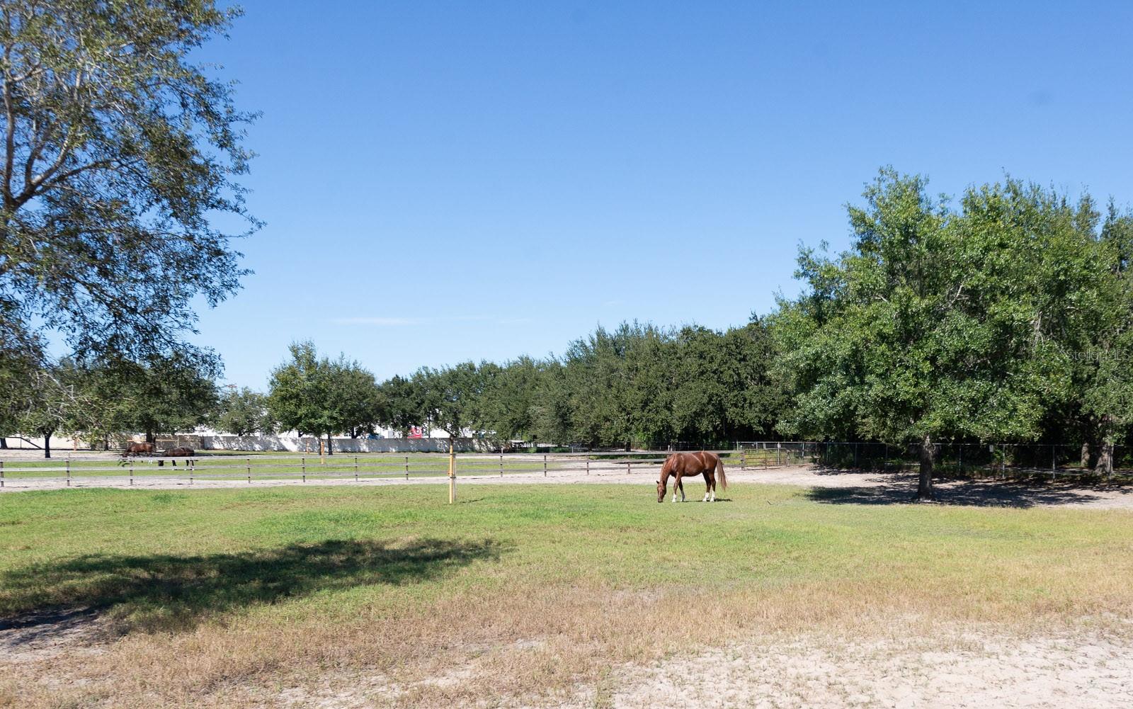 Listing photo id 48 for 9640 Hilltop Drive