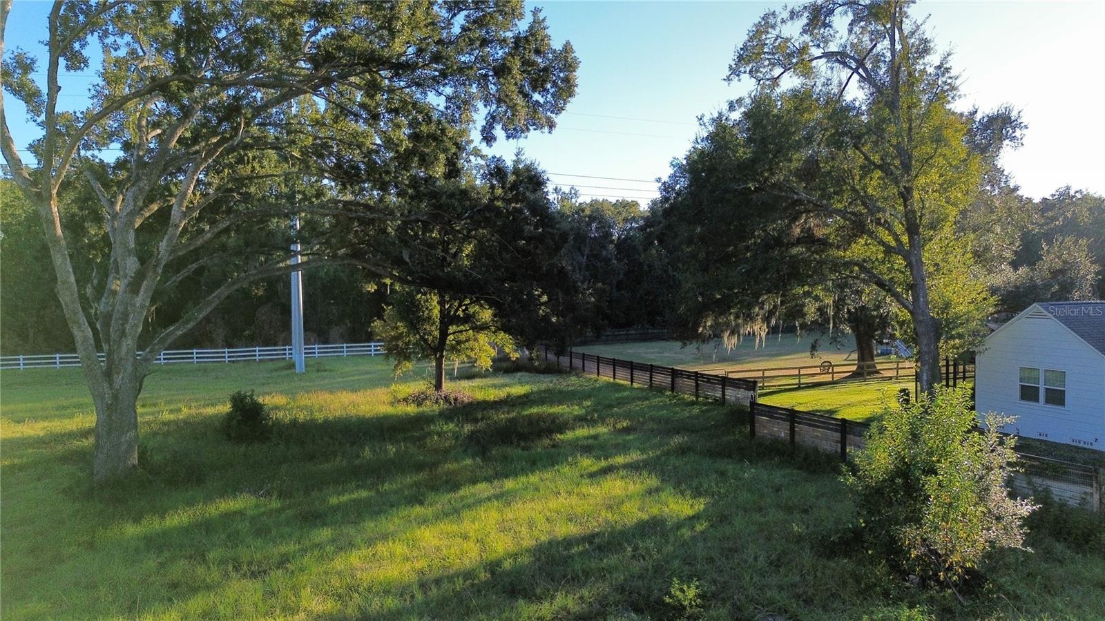 Listing photo id 4 for 1407 Whitaker Road