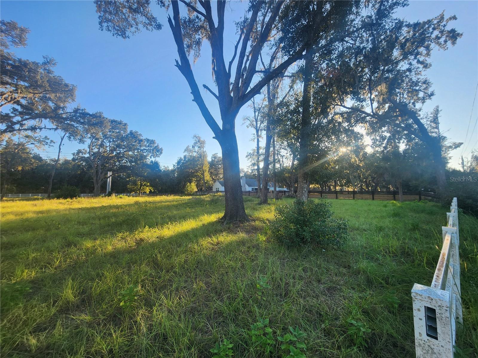 Listing photo id 5 for 1407 Whitaker Road