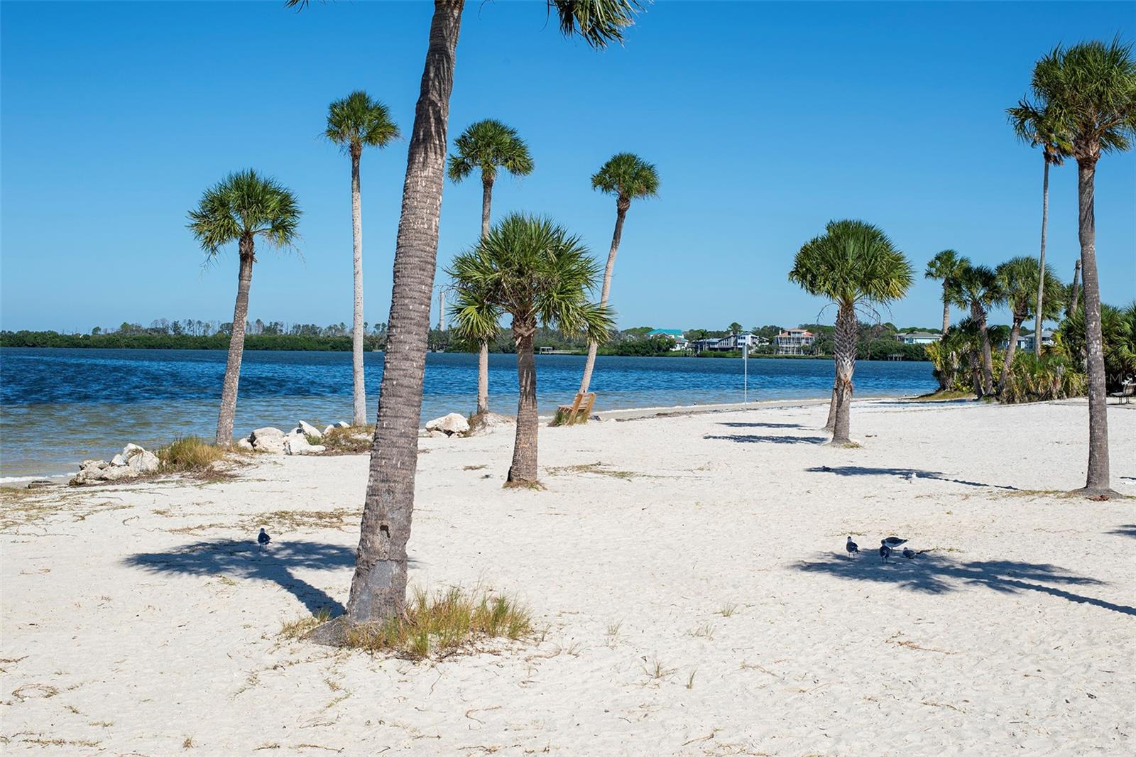 Image 38 of 42 For 305 Tarpon Point 305