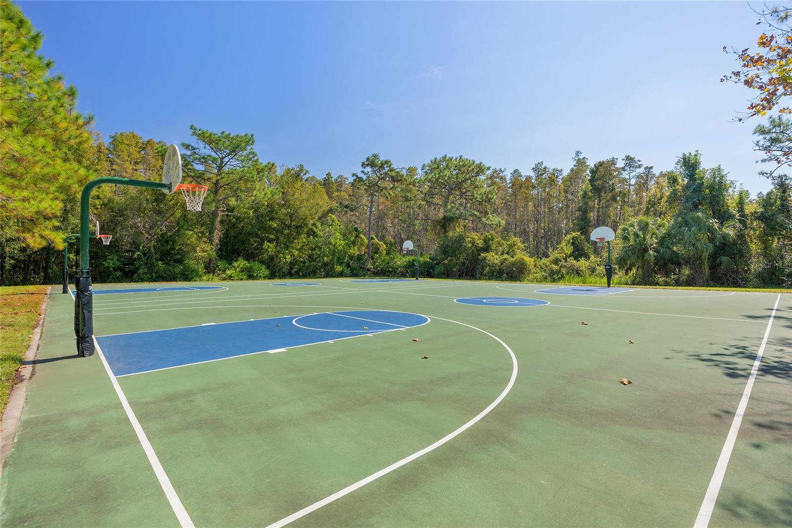 Image 33 of 43 For 31225 Claridge Place