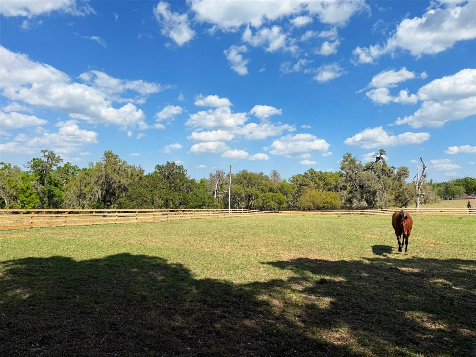 Image 66 of 88 For 1825 Streetman Drive
