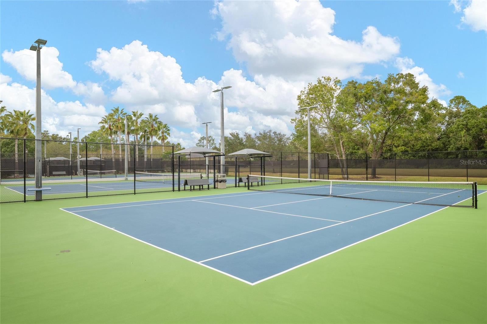 Image 49 of 54 For 14457 Mirabelle Vista Circle