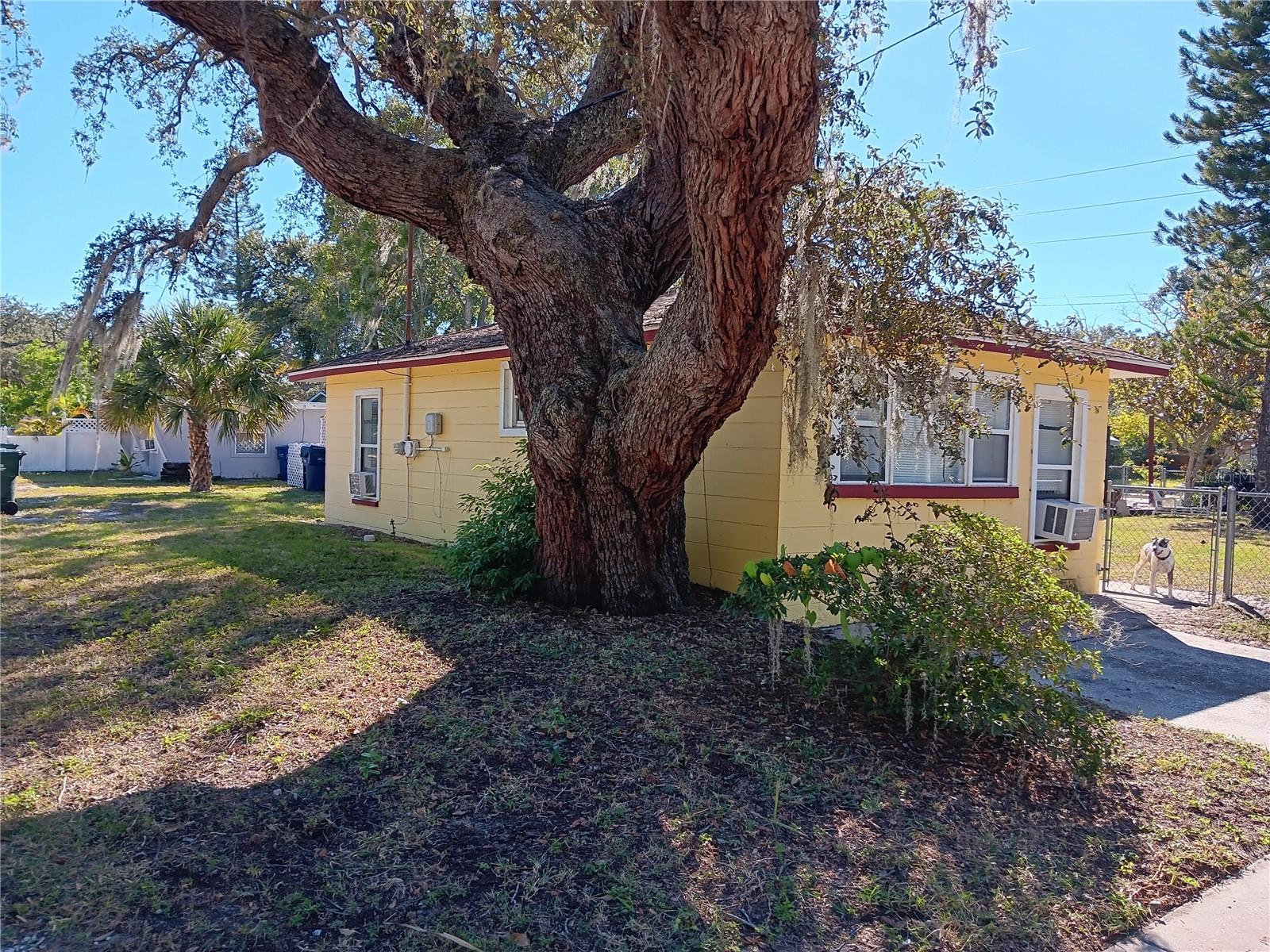 Image 31 of 32 For 374 3rd Street Nw