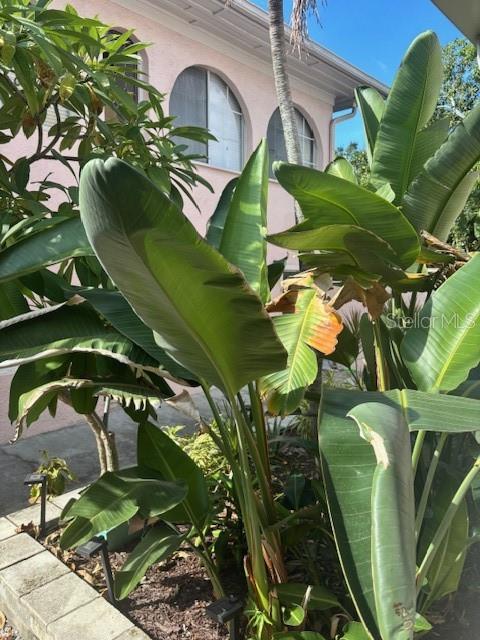 Image 35 of 38 For 1604 Osceola Avenue